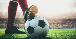 也为传统文 也为传统文