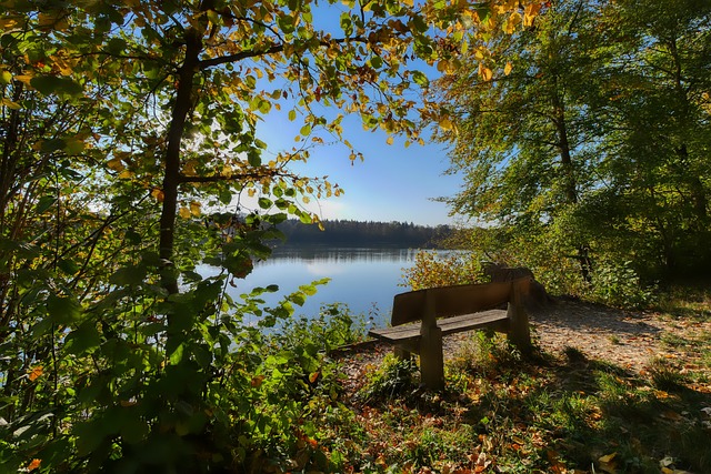 们的全力配 们的全力配