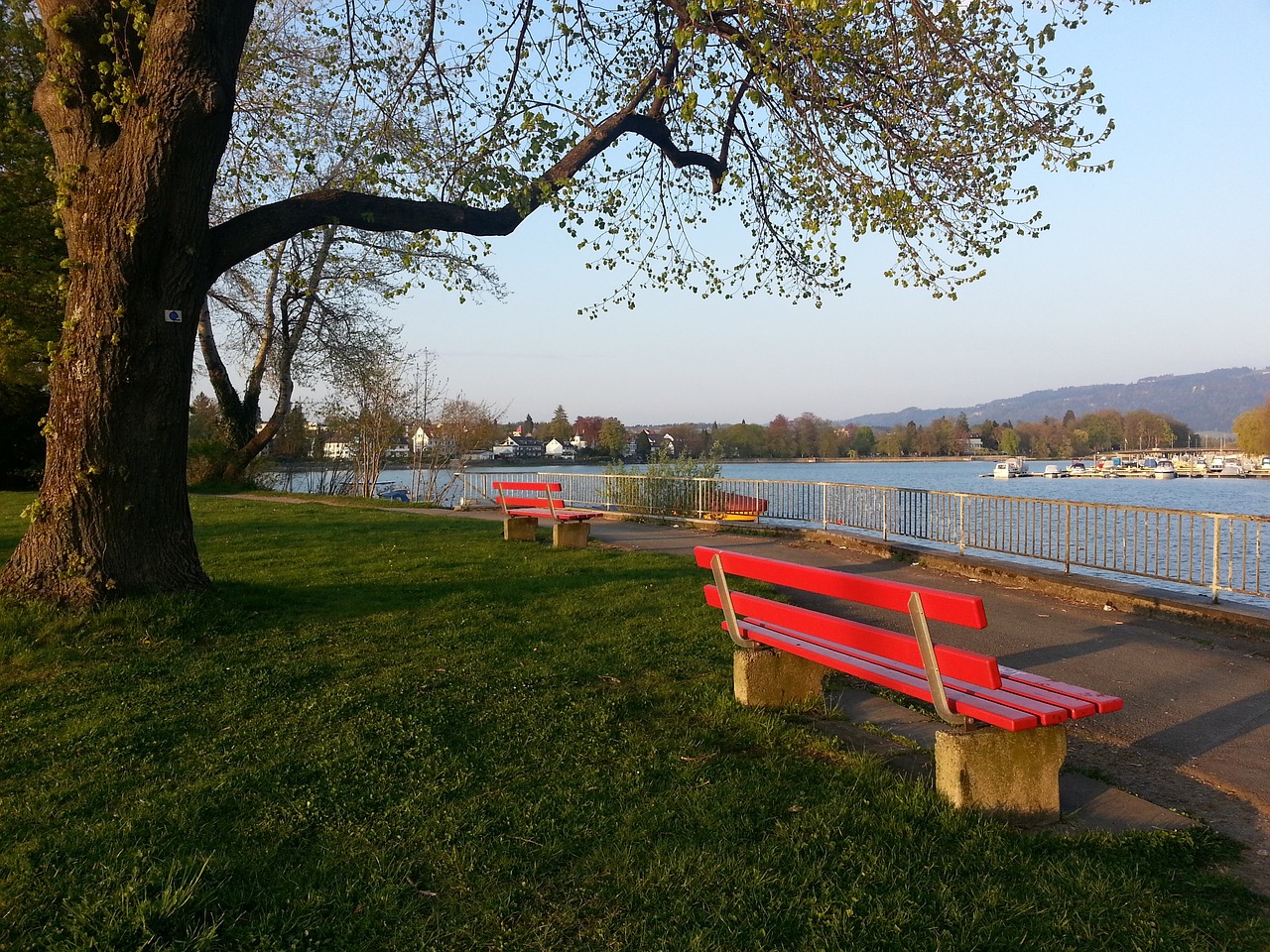 弗拉霍维奇 弗拉霍维奇