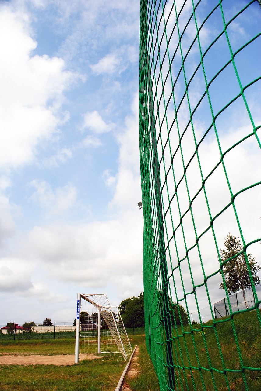 尾的灾难 尾的灾难